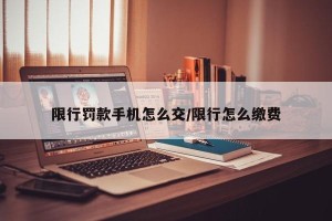 限行罚款手机怎么交/限行怎么缴费