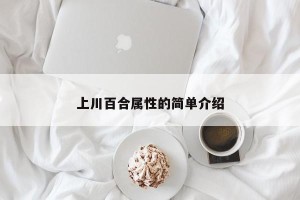 上川百合属性的简单介绍