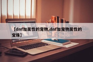 【dnf加属性的宠物,dnf加宠物属性的宝珠】