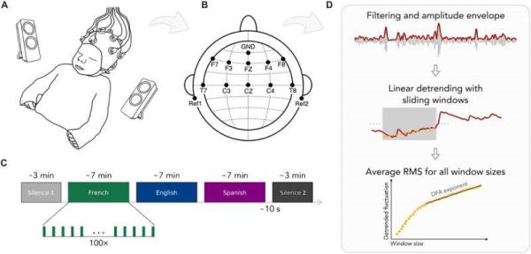 Language heard while still in the womb found to impact brain development